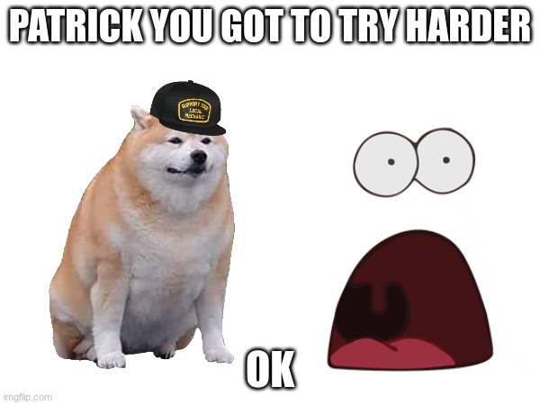 COACH | PATRICK YOU GOT TO TRY HARDER; OK | image tagged in pat coach meme | made w/ Imgflip meme maker