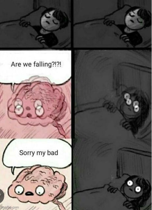 You are now falling :) | image tagged in falling,brain before sleep,what can i say except aaaaaaaaaaa | made w/ Imgflip meme maker