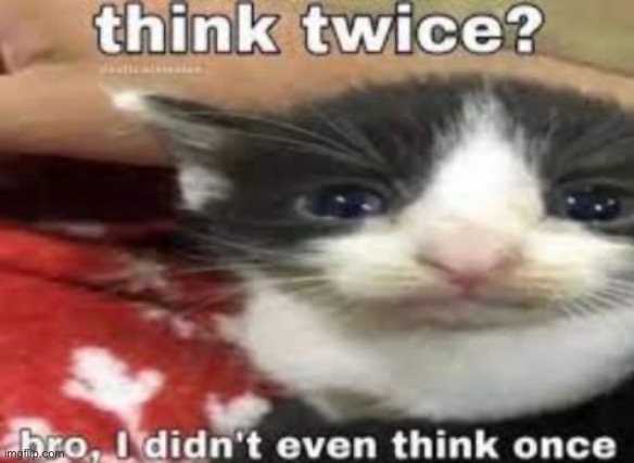 made w/ Imgflip meme maker