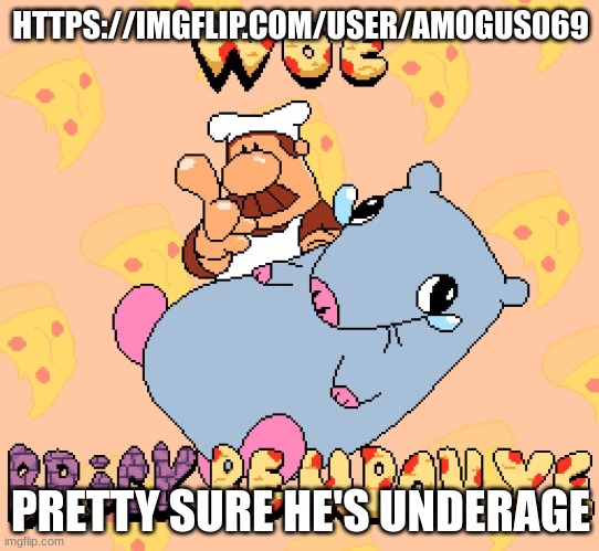 Woe brick be upon ye | HTTPS://IMGFLIP.COM/USER/AMOGUS069; PRETTY SURE HE'S UNDERAGE | image tagged in woe brick be upon ye | made w/ Imgflip meme maker
