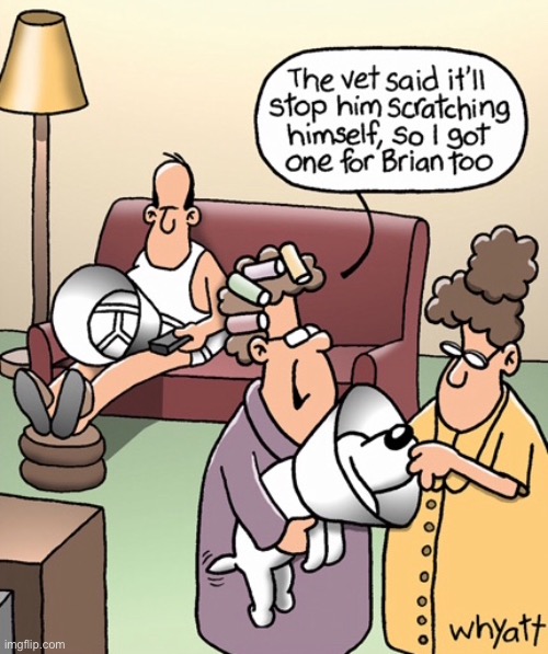 Had dog at vets | image tagged in dog at vets,stop scratching,got one for brian,comics | made w/ Imgflip meme maker