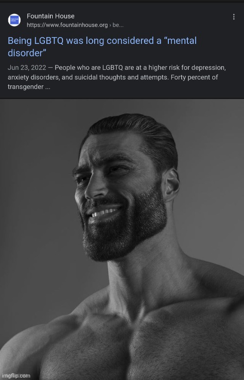 Suits them perfectly | image tagged in giga chad | made w/ Imgflip meme maker