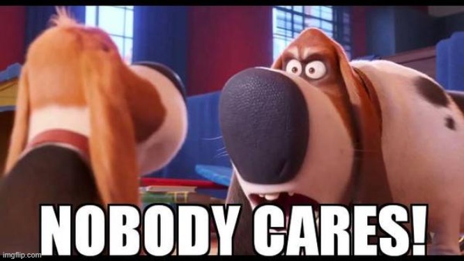 Nobody cares! | image tagged in nobody cares | made w/ Imgflip meme maker
