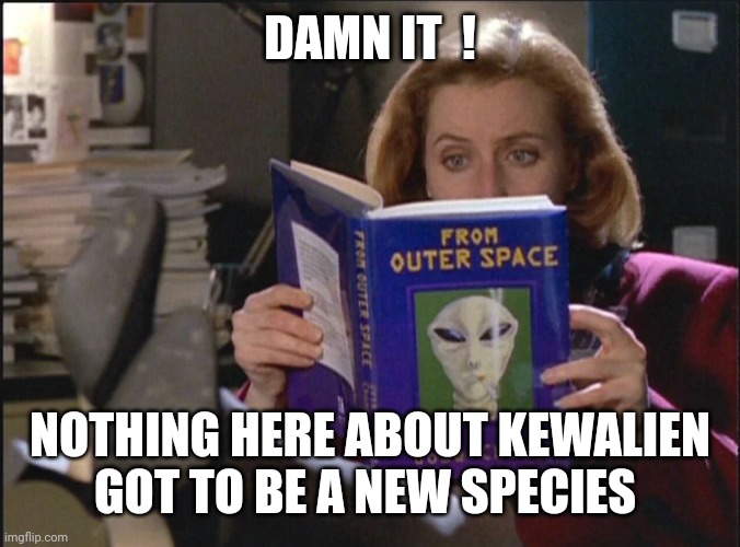 Scully reading | DAMN IT  ! NOTHING HERE ABOUT KEWALIEN GOT TO BE A NEW SPECIES | image tagged in scully reading | made w/ Imgflip meme maker