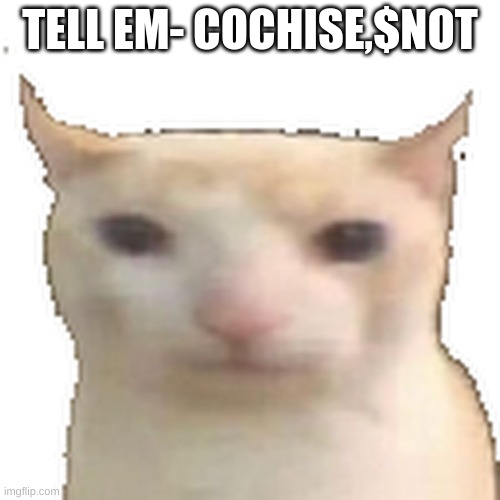 another banger fixed | TELL EM- COCHISE,$NOT | image tagged in another banger fixed | made w/ Imgflip meme maker