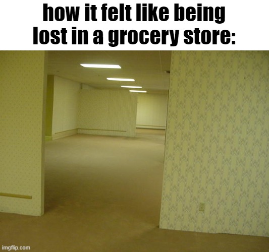 :( | how it felt like being lost in a grocery store: | image tagged in the backrooms | made w/ Imgflip meme maker