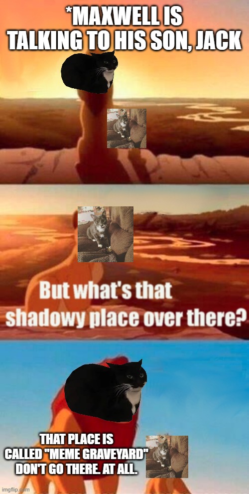 maxwell and jack | *MAXWELL IS TALKING TO HIS SON, JACK; THAT PLACE IS CALLED "MEME GRAVEYARD" DON'T GO THERE. AT ALL. | image tagged in memes,simba shadowy place | made w/ Imgflip meme maker