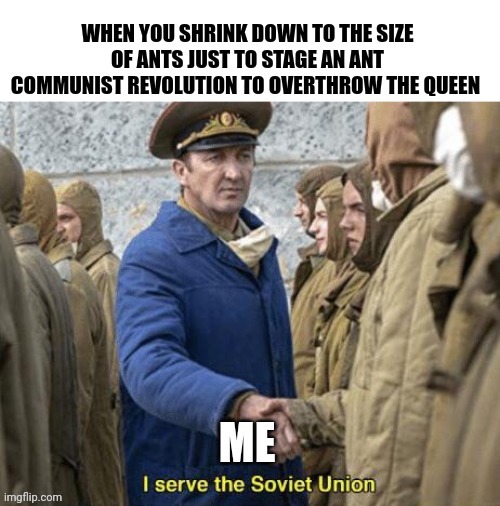 These ants are now communist | image tagged in communism,ants,memes | made w/ Imgflip meme maker