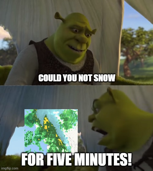 Could you not snow, for FIVE minutes! | COULD YOU NOT SNOW; FOR FIVE MINUTES! | image tagged in shrek,snow,weather,winter | made w/ Imgflip meme maker