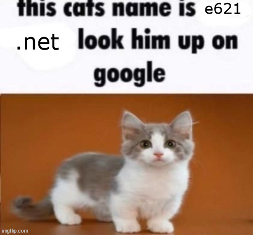 seriously his name is e621.net | e621; .net | image tagged in this cats name is x look him up on google | made w/ Imgflip meme maker