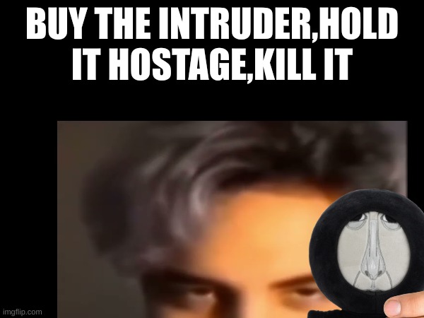 ?Mandela memes? | BUY THE INTRUDER,HOLD IT HOSTAGE,KILL IT | image tagged in not funny | made w/ Imgflip meme maker
