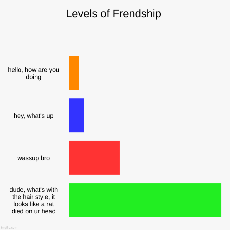 Levels of Frendship | hello, how are you doing, hey, what's up, wassup bro, dude, what's with the hair style, it looks like a rat died on ur | image tagged in charts,bar charts | made w/ Imgflip chart maker