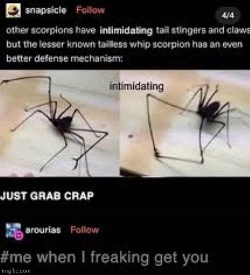 Hey Harry Potter fans the spider from goblet of fire its real | made w/ Imgflip meme maker