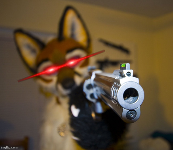 Furry with gun | image tagged in furry with gun | made w/ Imgflip meme maker