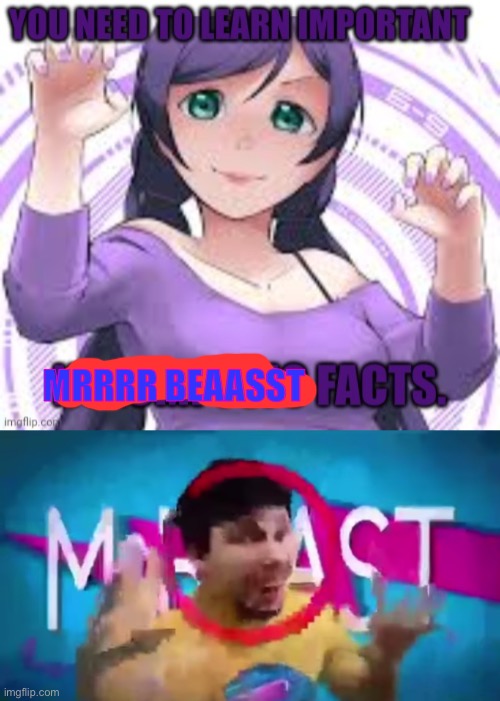Nozomi needs to learn mr beast facts smh | MRRRR BEAASST | image tagged in low quality mr beast | made w/ Imgflip meme maker