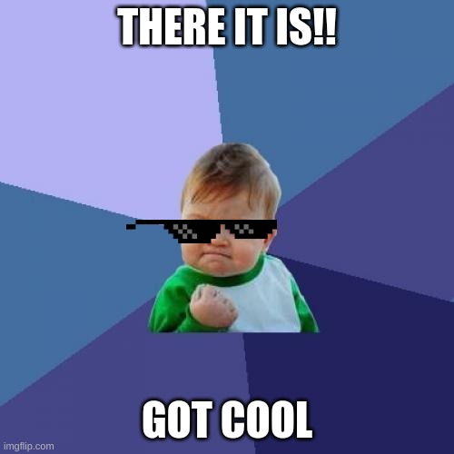 Success Kid Meme | THERE IT IS!! GOT COOL | image tagged in memes,success kid | made w/ Imgflip meme maker