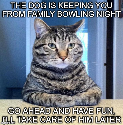 Serious Cat | THE DOG IS KEEPING YOU FROM FAMILY BOWLING NIGHT; GO AHEAD AND HAVE FUN, I'LL TAKE CARE OF HIM LATER | image tagged in serious cat | made w/ Imgflip meme maker