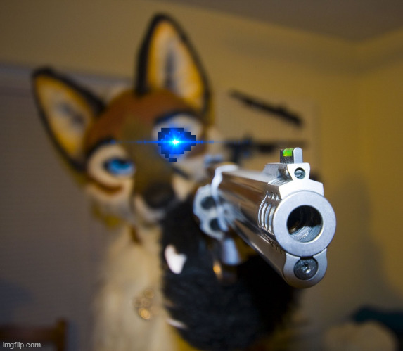 Furry with gun | image tagged in furry with gun | made w/ Imgflip meme maker