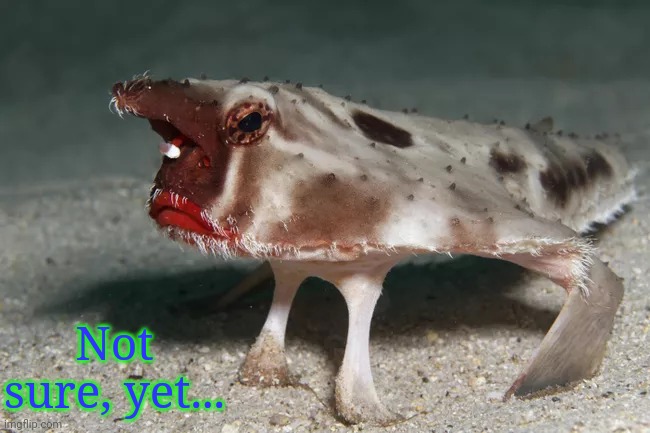 Not sure, yet... | made w/ Imgflip meme maker