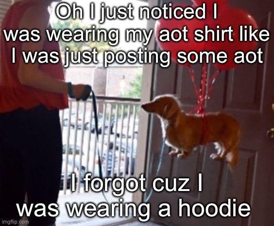Idk | Oh I just noticed I was wearing my aot shirt like I was just posting some aot; I forgot cuz I was wearing a hoodie | image tagged in walkin me dog fr | made w/ Imgflip meme maker