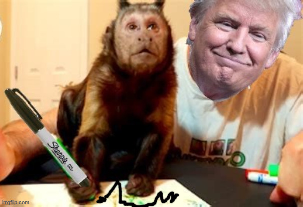 Trump's autographed books | image tagged in trump's next scam,trump,book,maga,fraud,monkey slave | made w/ Imgflip meme maker