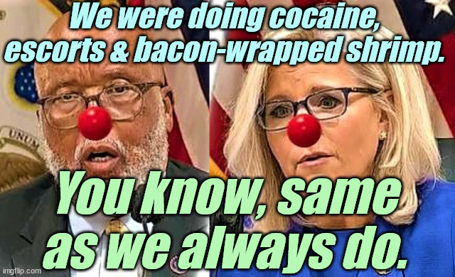Bennie Thompson and Liz Cheney | We were doing cocaine, escorts & bacon-wrapped shrimp. You know, same as we always do. | image tagged in bennie thompson and liz cheney | made w/ Imgflip meme maker