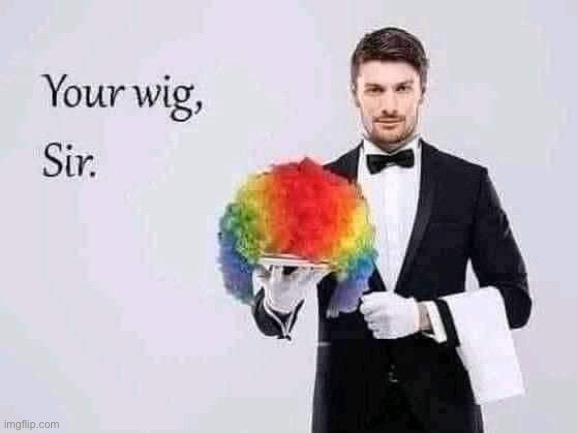 Your wig, sir | image tagged in your wig sir | made w/ Imgflip meme maker