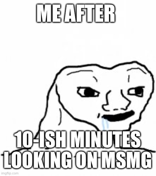 Dumb guy | ME AFTER; 10-ISH MINUTES LOOKING ON MSMG | image tagged in dumb guy | made w/ Imgflip meme maker