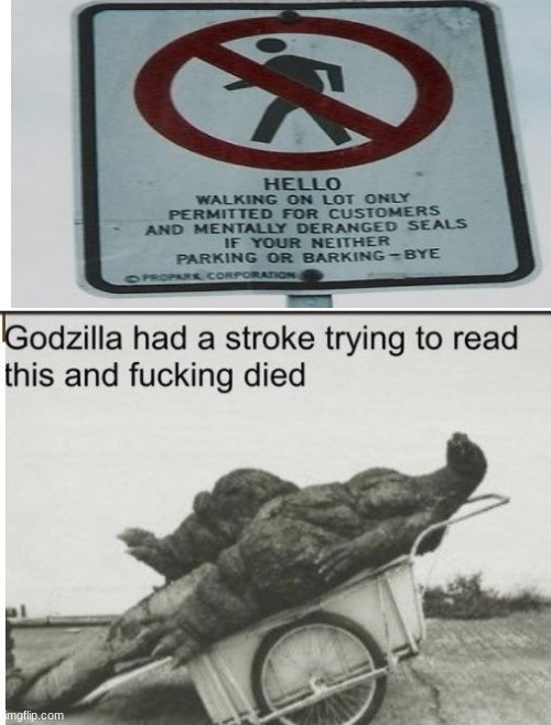 This template is so funny. | image tagged in godzilla,wtf | made w/ Imgflip meme maker