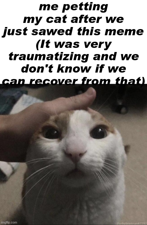 me petting my cat | me petting my cat after we just sawed this meme (It was very traumatizing and we don't know if we can recover from that) | image tagged in me petting my cat | made w/ Imgflip meme maker