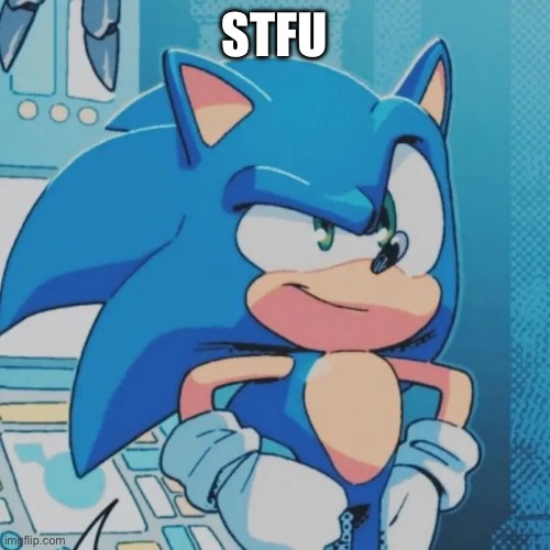 Sonic | STFU | image tagged in sonic the hedgehog | made w/ Imgflip meme maker