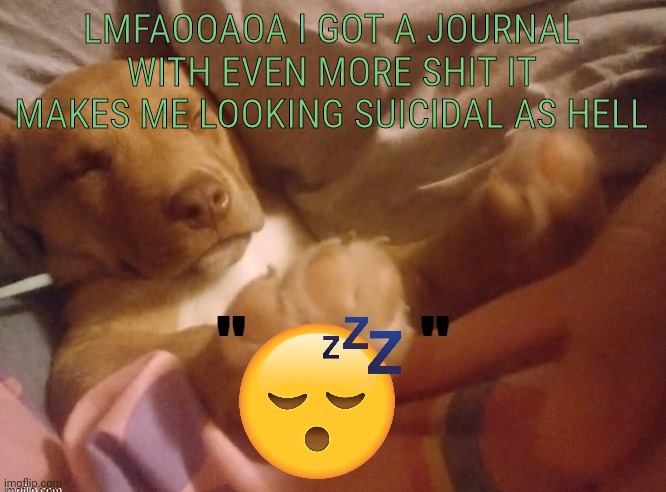 while i was trans | LMFAOOAOA I GOT A JOURNAL WITH EVEN MORE SHIT IT MAKES ME LOOKING SUICIDAL AS HELL | image tagged in quandale | made w/ Imgflip meme maker