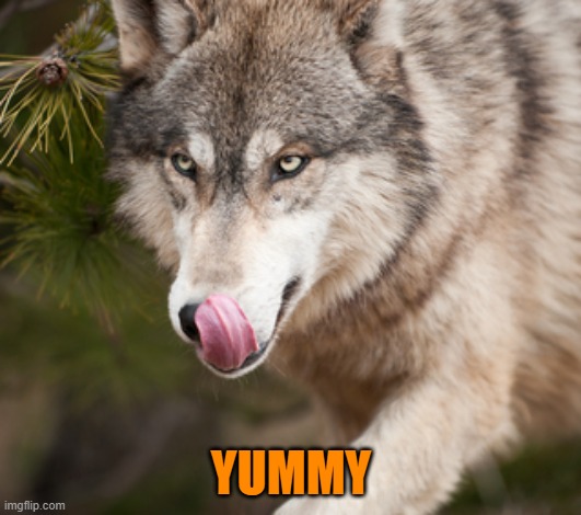 yummy | YUMMY | image tagged in yummy | made w/ Imgflip meme maker