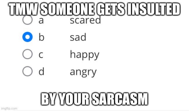 I made a template from my school assignment!! | TMW SOMEONE GETS INSULTED; BY YOUR SARCASM | image tagged in be sad | made w/ Imgflip meme maker