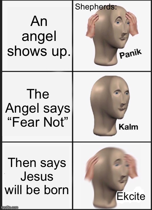 A bible meme | An angel shows up. Shepherds:; The Angel says “Fear Not”; Then says Jesus will be born; Ekcite | image tagged in memes,panik kalm panik,religion,christianity | made w/ Imgflip meme maker