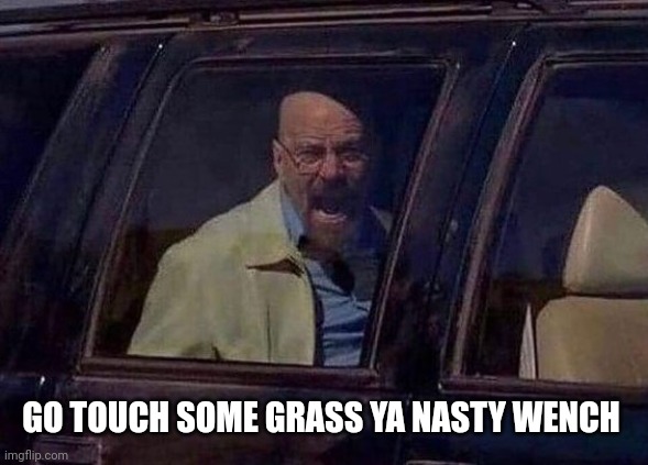 Walter White Screaming At Hank | GO TOUCH SOME GRASS YA NASTY WENCH | image tagged in walter white screaming at hank | made w/ Imgflip meme maker