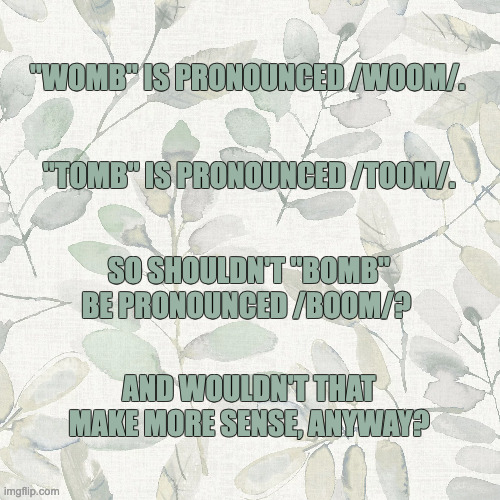 English is Fun | "WOMB" IS PRONOUNCED /WOOM/. "TOMB" IS PRONOUNCED /TOOM/. SO SHOULDN'T "BOMB" BE PRONOUNCED /BOOM/? AND WOULDN'T THAT MAKE MORE SENSE, ANYWAY? | image tagged in language,english,pronunciation | made w/ Imgflip meme maker