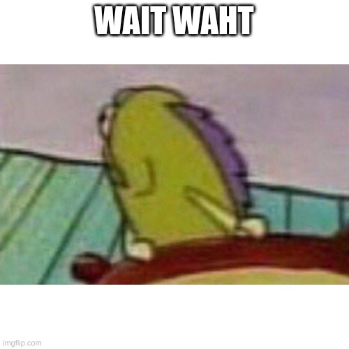 Fish looking back | WAIT WAHT | image tagged in fish looking back | made w/ Imgflip meme maker