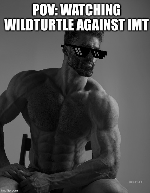 wildturtle meme