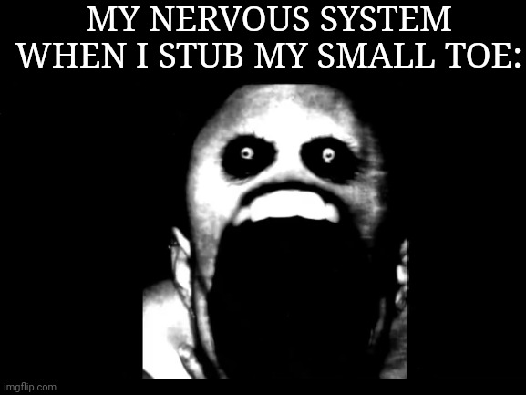 hehe pain go brrrr | MY NERVOUS SYSTEM WHEN I STUB MY SMALL TOE: | image tagged in aaaaaaaaaaaaaaaaaaaaaaaaaaa | made w/ Imgflip meme maker
