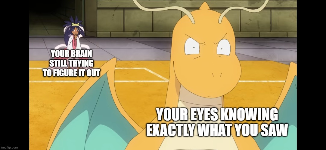 Connection Error | YOUR BRAIN STILL TRYING TO FIGURE IT OUT; YOUR EYES KNOWING EXACTLY WHAT YOU SAW | image tagged in dragon wut | made w/ Imgflip meme maker