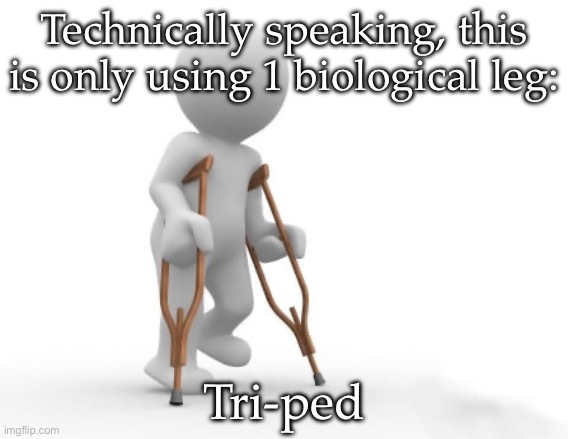 One leg |  Technically speaking, this is only using 1 biological leg:; Tri-ped | image tagged in crutch man,tripod,crutches,can't argue with that / technically not wrong | made w/ Imgflip meme maker
