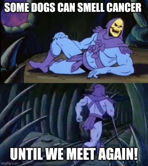 Dogs can smell things | SOME DOGS CAN SMELL CANCER; UNTIL WE MEET AGAIN! | image tagged in uncomfortable truth skeletor | made w/ Imgflip meme maker