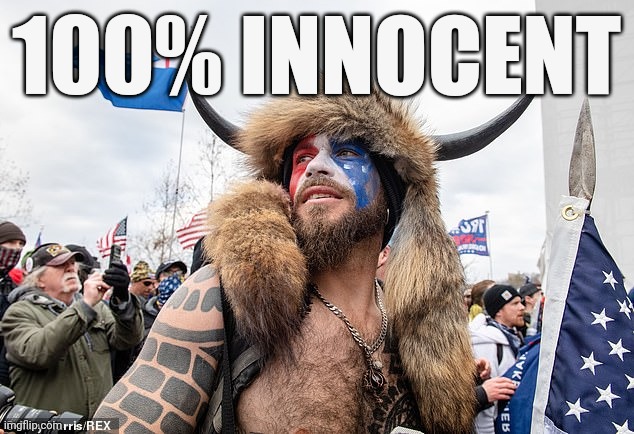 This guy was nothing but peaceful and respectful. | 100% INNOCENT | image tagged in qanon shaman | made w/ Imgflip meme maker