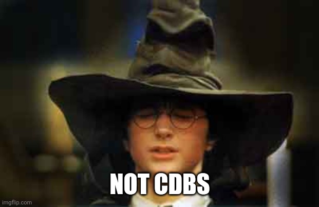 Harry Potter sorting hat | NOT CDBS | image tagged in harry potter sorting hat | made w/ Imgflip meme maker