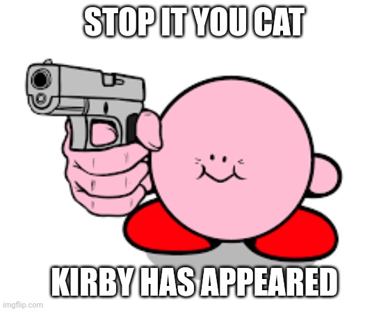 Kirby with a gun | STOP IT YOU CAT KIRBY HAS APPEARED | image tagged in kirby with a gun | made w/ Imgflip meme maker