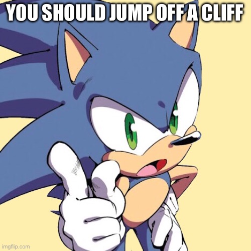 Snansmsnsnd | YOU SHOULD JUMP OFF A CLIFF | image tagged in sonic the hedgehog,sonic says | made w/ Imgflip meme maker
