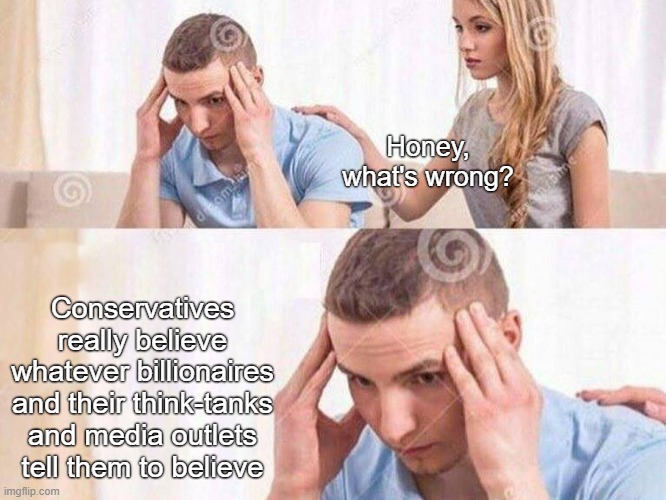 Conservatives love capitalist propaganda | Honey, what's wrong? Conservatives really believe whatever billionaires and their think-tanks and media outlets tell them to believe | image tagged in honey whats wrong,capitalism,propaganda,hegemony,conservative logic,conservatives | made w/ Imgflip meme maker