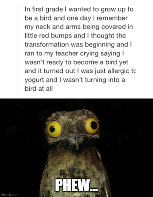 Honestly, it would be terrifying to transform into an animal... | PHEW... | image tagged in memes,weird stuff i do potoo,bird,transformation | made w/ Imgflip meme maker