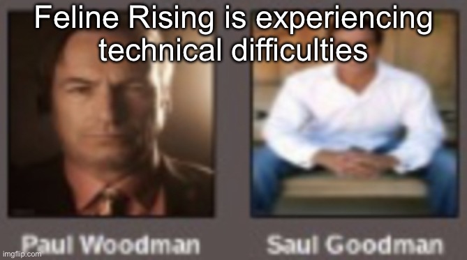 paul vs saul | Feline Rising is experiencing technical difficulties | image tagged in paul vs saul | made w/ Imgflip meme maker